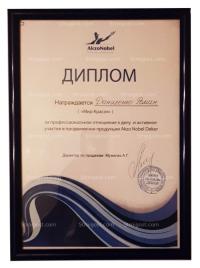 Diplom_Dom_Krasok_01